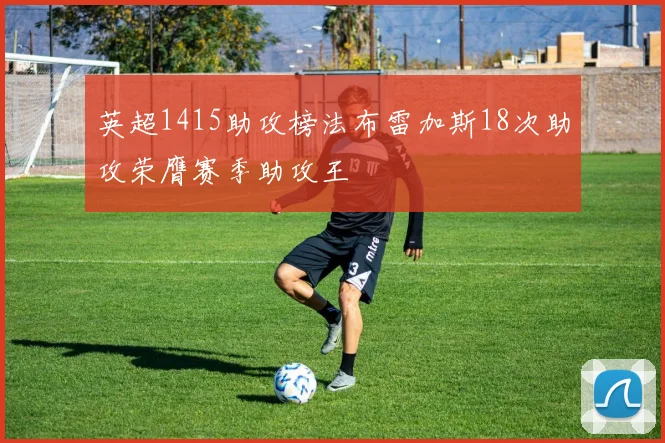 英超1415助攻榜法布雷加斯18次助攻荣膺赛季助攻王