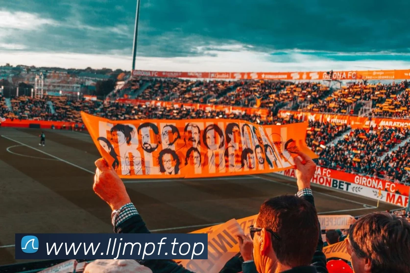 多媒体互动体验